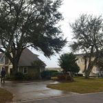 Residential Tree Removal in Surf City, North Carolina
