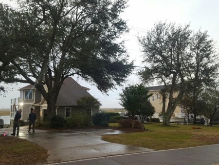 Residential Tree Removal in Jacksonville, North Carolina