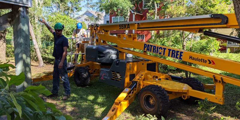Professional Tree Service in Jacksonville, North Carolina