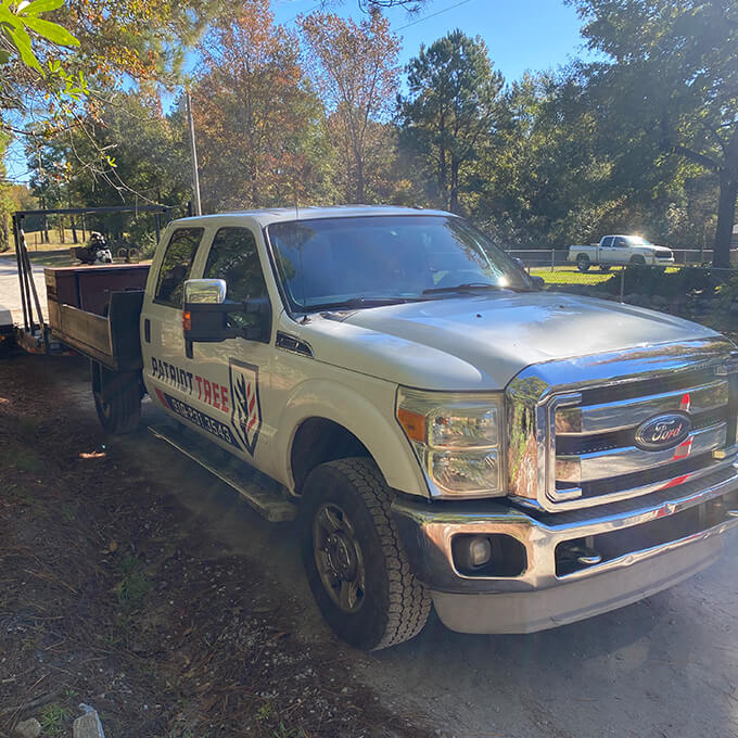 Patriot Tree Tree Expert