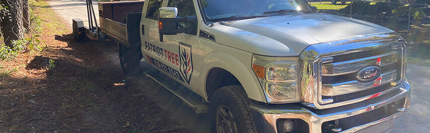 Commercial Tree Removal