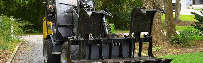 Emergency Tree Removal Services